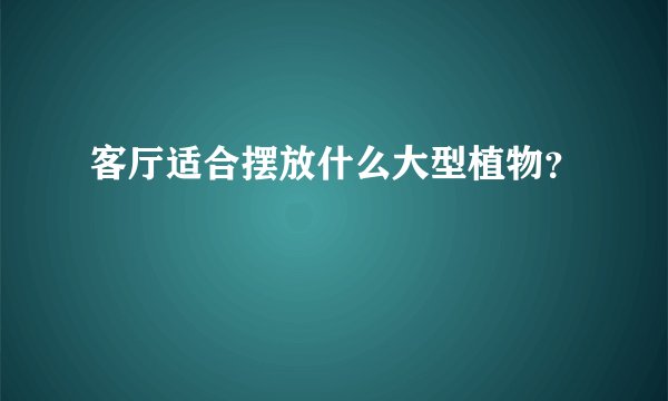 客厅适合摆放什么大型植物？