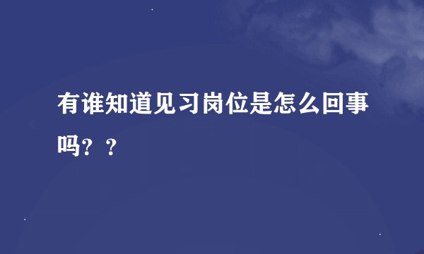 有谁知道见习岗位是怎么回事吗？？