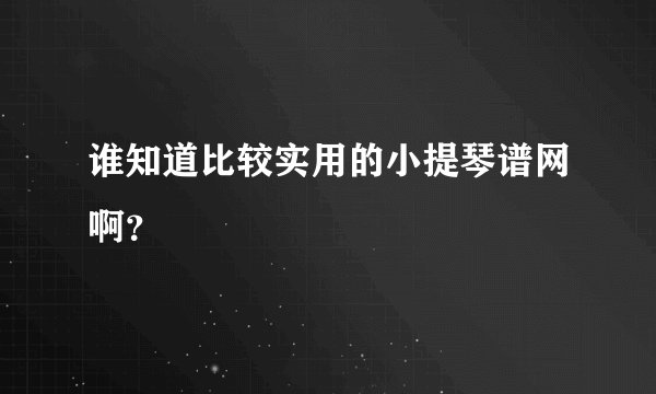 谁知道比较实用的小提琴谱网啊？