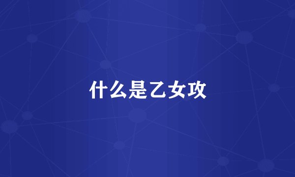 什么是乙女攻