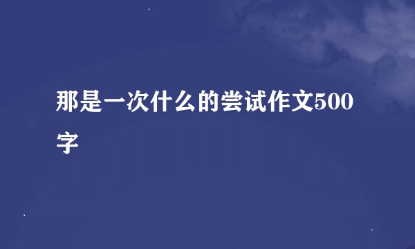 那是一次什么的尝试作文500字