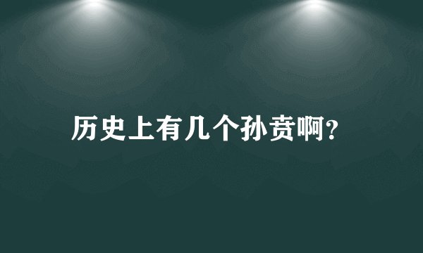 历史上有几个孙贲啊？