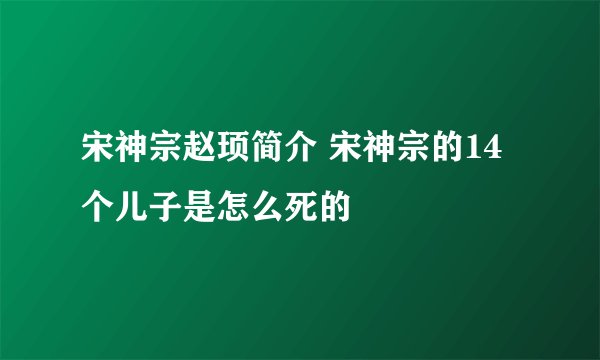 宋神宗赵顼简介 宋神宗的14个儿子是怎么死的