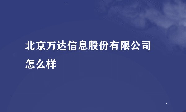 北京万达信息股份有限公司 怎么样