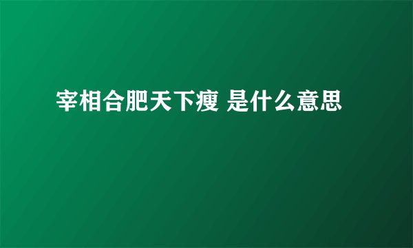 宰相合肥天下瘦 是什么意思