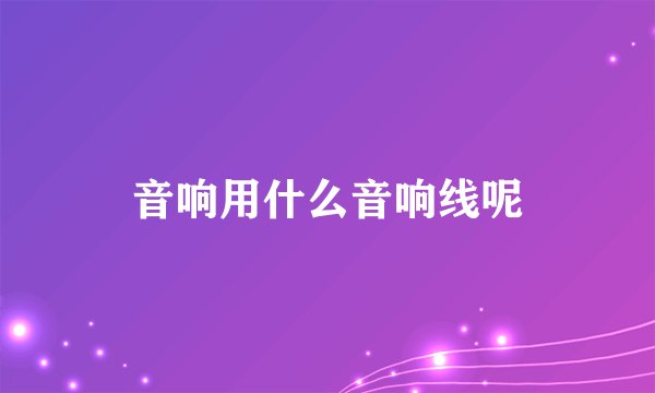 音响用什么音响线呢