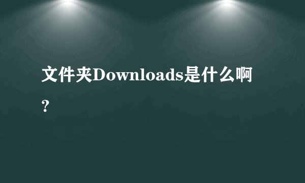 文件夹Downloads是什么啊？