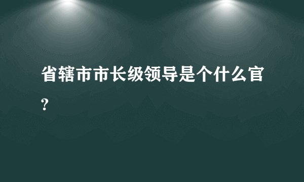 省辖市市长级领导是个什么官?