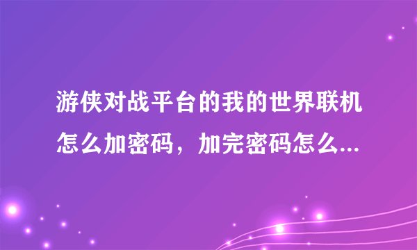 游侠对战平台的我的世界联机怎么加密码，加完密码怎么输入密码啊？