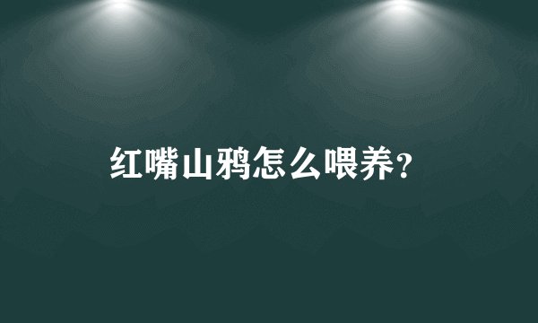 红嘴山鸦怎么喂养？