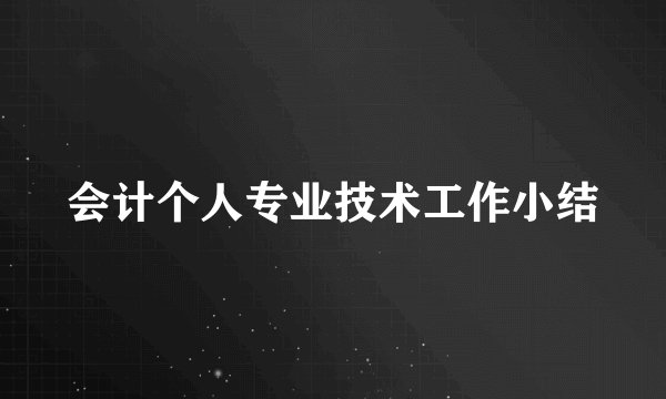 会计个人专业技术工作小结