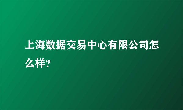 上海数据交易中心有限公司怎么样?