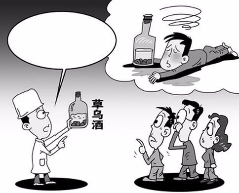 制草乌有毒吗