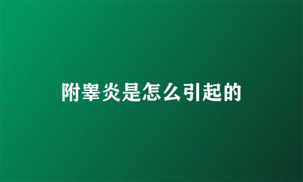 附睾炎是怎么引起的