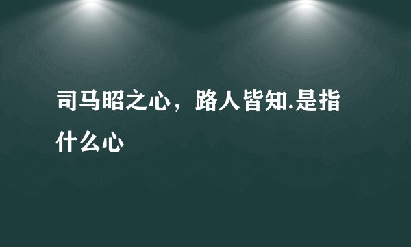 司马昭之心，路人皆知.是指什么心