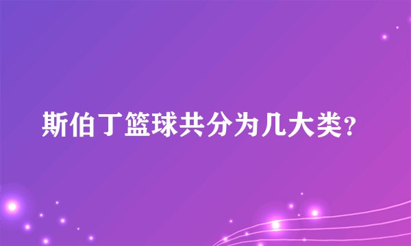 斯伯丁篮球共分为几大类?
