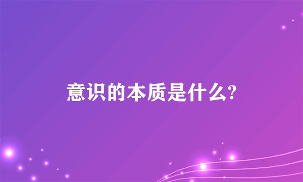 意识的本质是什么?