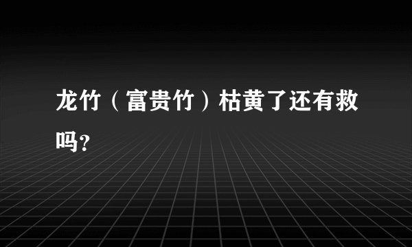龙竹（富贵竹）枯黄了还有救吗？