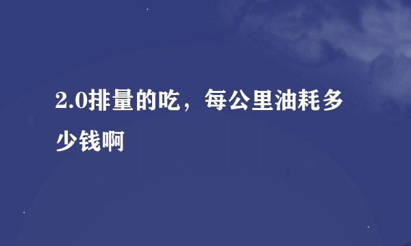 2.0排量的吃，每公里油耗多少钱啊