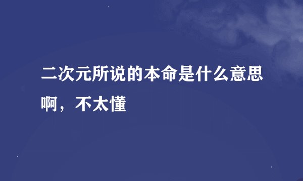 二次元所说的本命是什么意思啊,不太懂