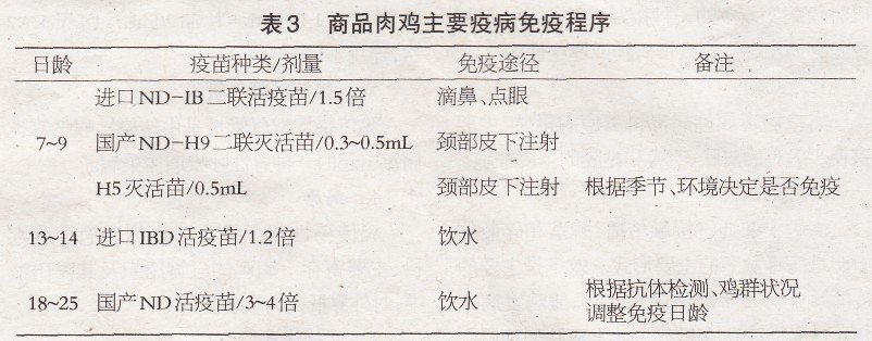 鸡新城疫的免疫程序