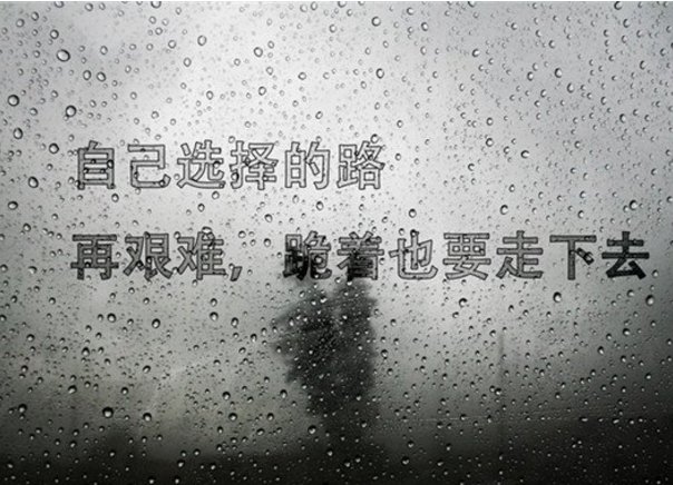 坚持不懈的诗句或名言有哪些？