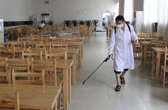 家里有很多小虫子,有图片,很急,求各位大师