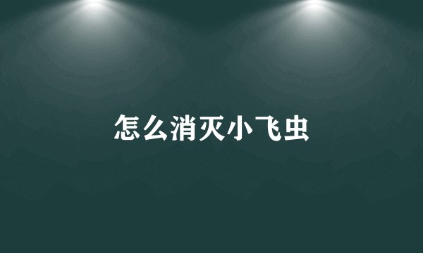 怎么消灭小飞虫