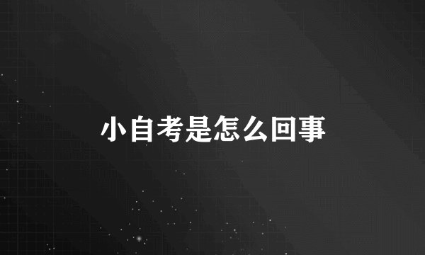 小自考是怎么回事