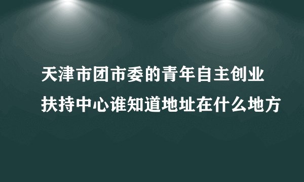 天津市团市委的青年自主创业扶持中心谁知道地址在什么地方