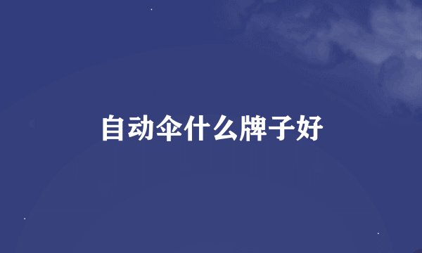 自动伞什么牌子好