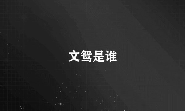 文鸳是谁