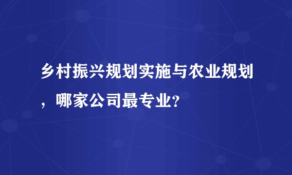 乡村振兴规划实施与农业规划，哪家公司最专业？