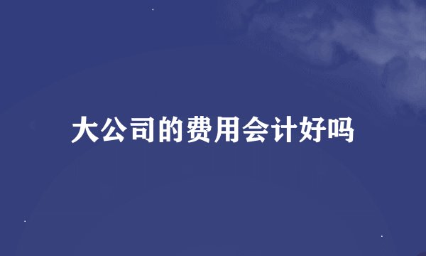 大公司的费用会计好吗