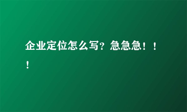 企业定位怎么写？急急急！！！
