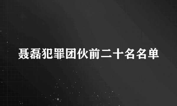 聂磊犯罪团伙前二十名名单