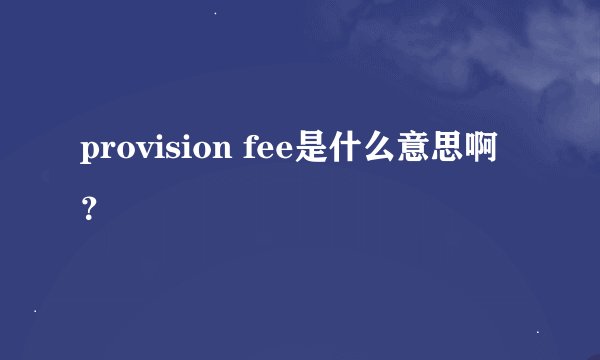 provision fee是什么意思啊？