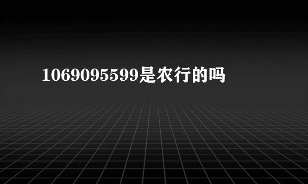 1069095599是农行的吗