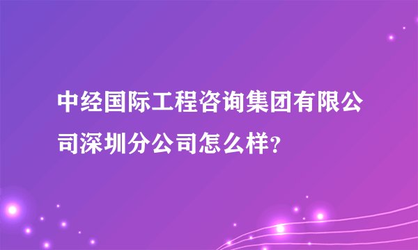 中经国际工程咨询集团有限公司深圳分公司怎么样?