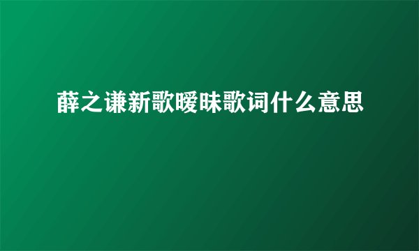 薛之谦新歌暧昧歌词什么意思