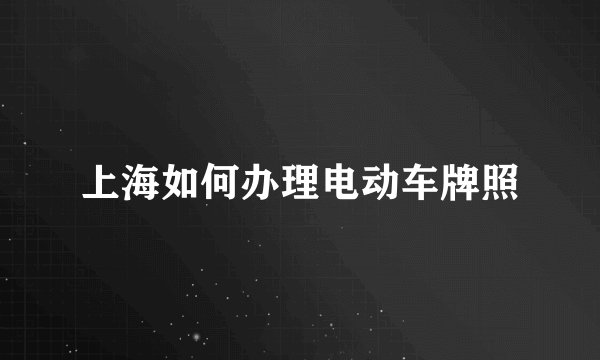 上海如何办理电动车牌照
