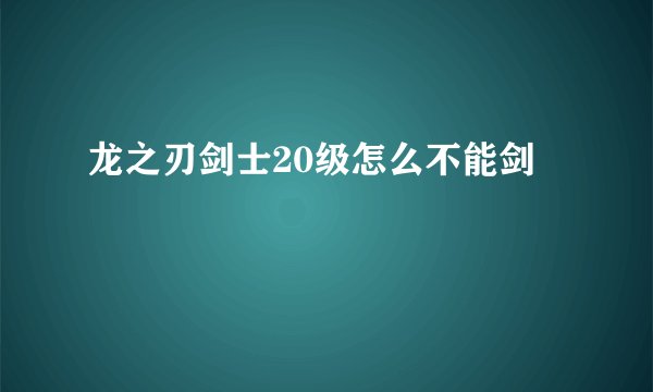 龙之刃剑士20级怎么不能剑