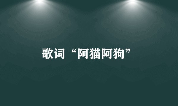 歌词“阿猫阿狗”