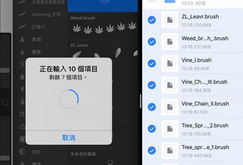 求大神告诉我笔刷怎么导入procreate的方法