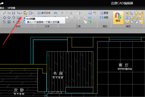cad中插入的ole 对象怎么调整啊。。。