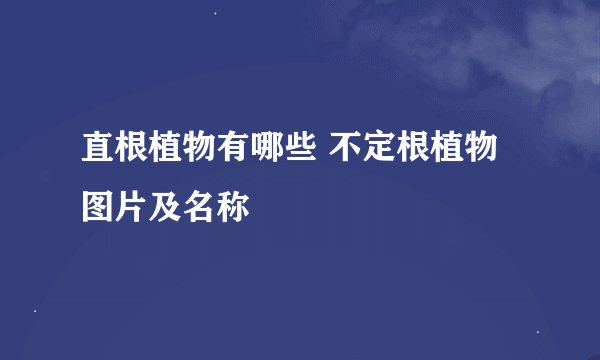 直根植物有哪些 不定根植物图片及名称