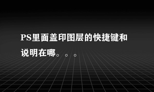 PS里面盖印图层的快捷键和说明在哪。。。