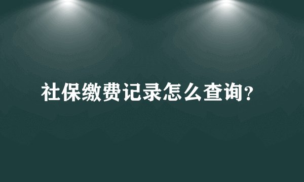 社保缴费记录怎么查询？