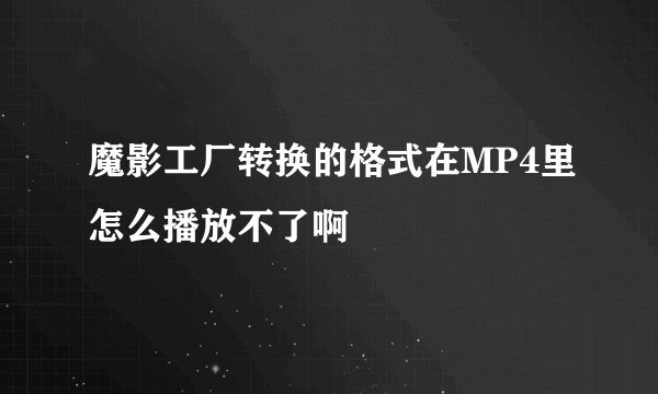 魔影工厂转换的格式在MP4里怎么播放不了啊