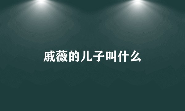 戚薇的儿子叫什么